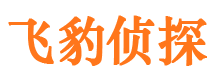 石楼侦探公司